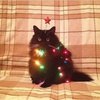 blog avatar