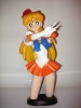 фотография Sailor Venus