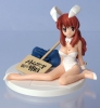 фотография Figure Meister The Melancholy of Haruhi Suzumiya: Asahina Mikuru White Bunny Ver.