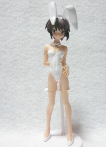 главная фотография HGIF The Melancholy of Haruhi Suzumiya #5: Yuki Nagato White Bunny Ver