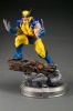 фотография Fine Art Statue Wolverine