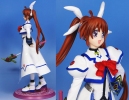 фотография Takamachi Nanoha 19years old Ver.