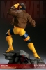 фотография Premium Format Figure Cyclops