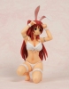 фотография Kousaka Tamaki Bunny Ver. Miyazawa LE