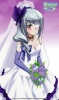 фотография Taito Kuji Honpo Infinite Stratos: Laura Bodewig Wedding Dress Ver.