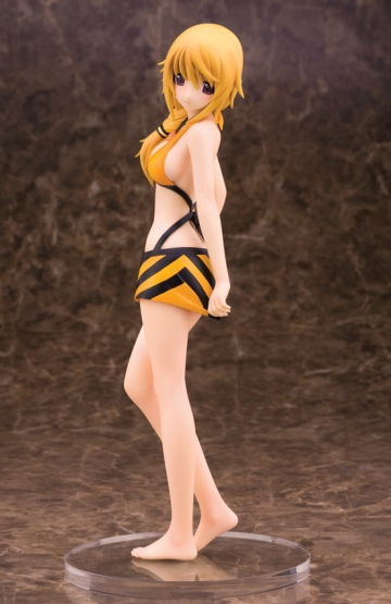 главная фотография Charlotte Dunois Swimsuit Ver.