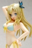 фотография Beach Queens Kashiwazaki Sena