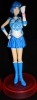 фотография Sailor Moon Collection: Sailor Mercury