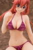 фотография Takatsuki Ichika Swimsuit Ver.