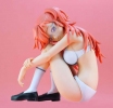 фотография Full Puni! Fixation Series No.1 Ichika Takatsuki 