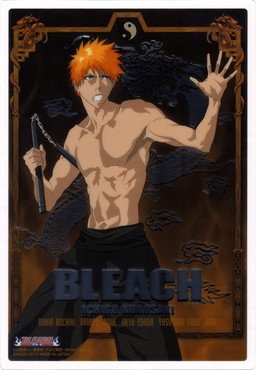 главная фотография Clear Soul Plate 2: Kurosaki Ichigo