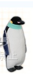 главная фотография Penguin