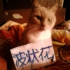 blog avatar