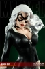 фотография Premium Format Figure Black Cat