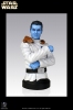 фотография Star Wars Mini Bust: Grand Admiral Thrawn