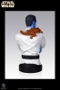 фотография Star Wars Mini Bust: Grand Admiral Thrawn