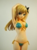 фотография Kashiwazaki Sena Swimsuit Ver.