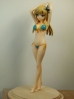 фотография Kashiwazaki Sena Swimsuit Ver.