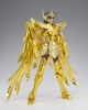 фотография Saint Cloth Myth EX Sagittarius Aiolos