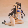 фотография Tokugawa Sen Swimsuit ver.