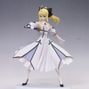 фотография SQ Saber Lily