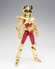 фотография Saint Cloth Myth Pegasus Seiya ~Power of Gold~