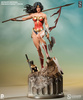 фотография Premium Format Figure Wonder Woman