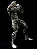 фотография CCP Muscular Collection Vol.18: Kinnikuman Zebra Special Color ver.
