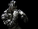 фотография CCP Muscular Collection Vol.18: Kinnikuman Zebra Special Color ver.