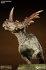 фотография Dinosauria Styracosaurus Statue