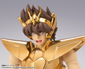 фотография Saint Cloth Myth EX Pegasus Seiya ~Kurumada Masami 40th Anniversary Edition~