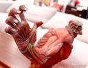 фотография Wonderful Hobby Selection Colossal Titan Takayuki Takeya Ver.