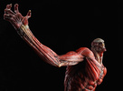 фотография Wonderful Hobby Selection Colossal Titan Takayuki Takeya Ver.