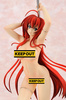 фотография Rias Gremory Slingshot Ver.