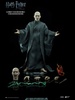 фотография My Favorite Movie Series Lord Voldemort