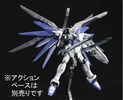 фотография RG ZGMF-X10A Freedom Gundam Deactive Mode