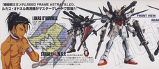 фотография MG GAT-X105E+AQM/E-M1 Strike Gundam E IWSP Lukas O'Donnell Custom