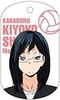 фотография Haikyuu!! Chara Metal Tag Part.2: Shimizu Kiyoko