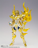 фотография Saint Cloth Myth EX Leo Aiolia God Cloth Ver.