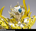 фотография Saint Cloth Myth EX Leo Aiolia God Cloth Ver.