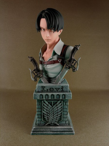 главная фотография Levi Bust