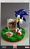 фотография Sonic the Hedgehog 20th Anniversary Edition