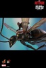 фотография Movie Masterpiece Compact Ant-man on flying ant