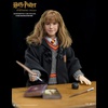 фотография My Favorite Movie Series Hermione Granger