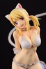 фотография Lucy Heartfilia White Cat Gravure_Style