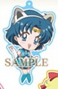 фотография Sailor Moon Crystal Namja Town: Sailor Mercury