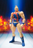 фотография S.H.Figuarts Kinnikuman Muscle Throne Ver.