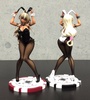 фотография Sansei Muramasa Black Bunny Ver.