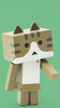 фотография Nyanboard Figure Collection 2: Danboard Tabby (bicolor) Ver.