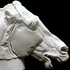 Plaster Drawing Introduction set#2: Head of a horse of Selene